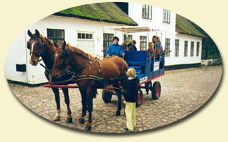 Hestevogn trukket af to Frederiksborgheste