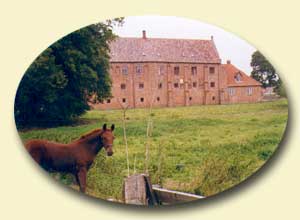 Esrum Kloster og en af vores Frederiksborgheste